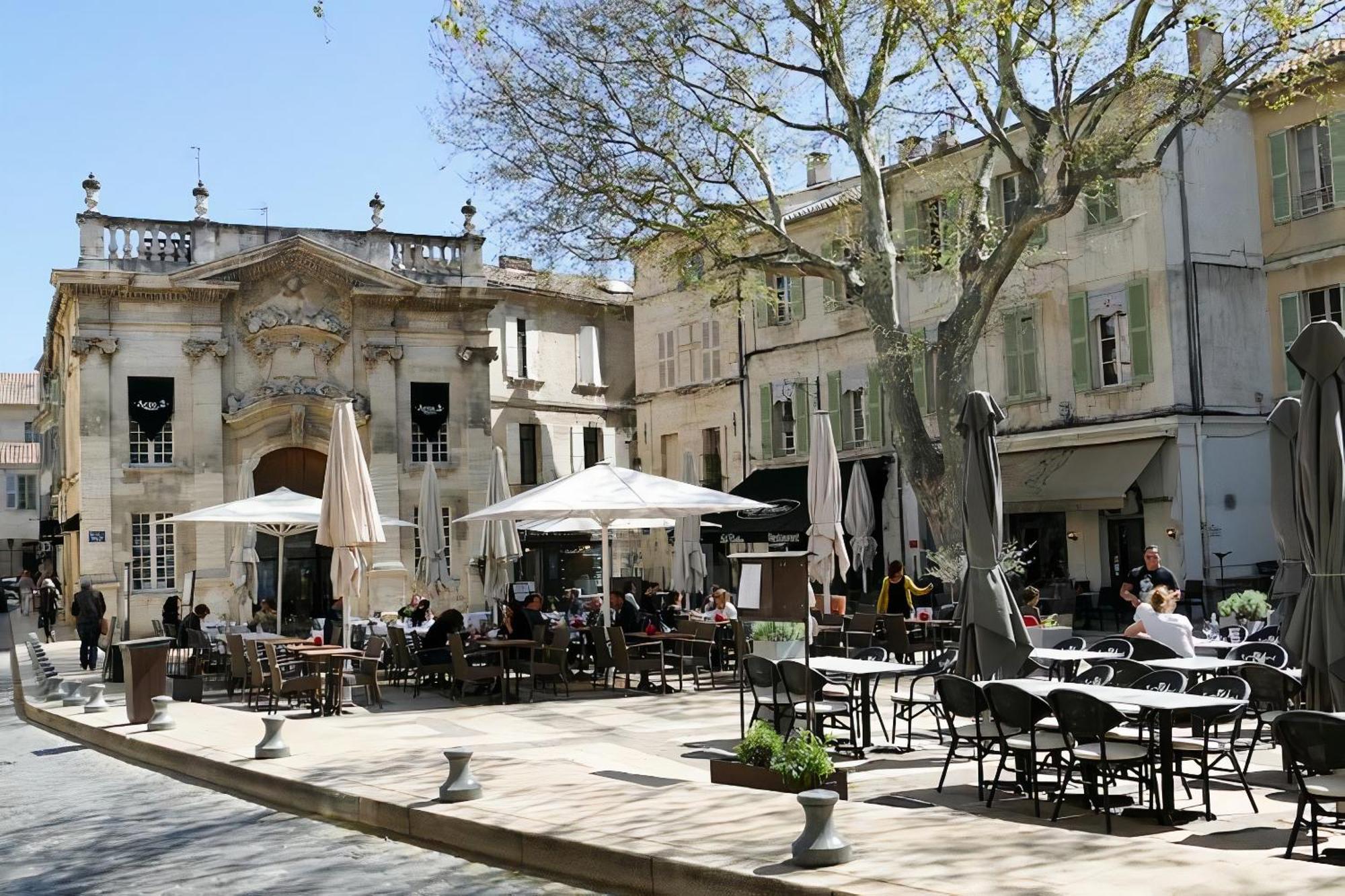 Le Petit Avignon - Chambres & Appartement A Deux Pas Du Pont D'Avignon Et Du Palais Des Papes Exterior photo