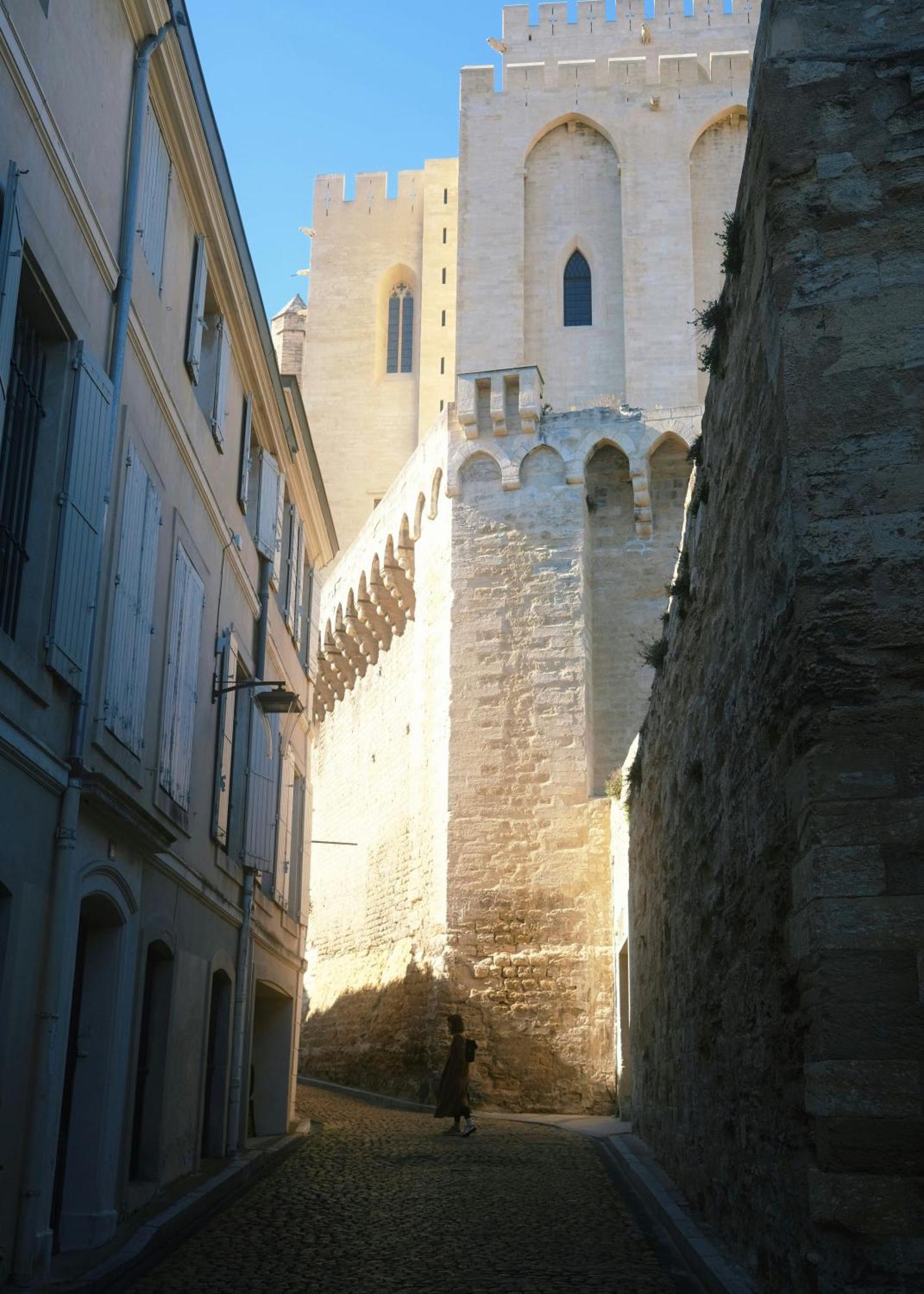 Le Petit Avignon - Chambres & Appartement A Deux Pas Du Pont D'Avignon Et Du Palais Des Papes Exterior photo